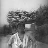 1935 Предпл Узбекистан Юноша с Корзиной Лепешек на Голове