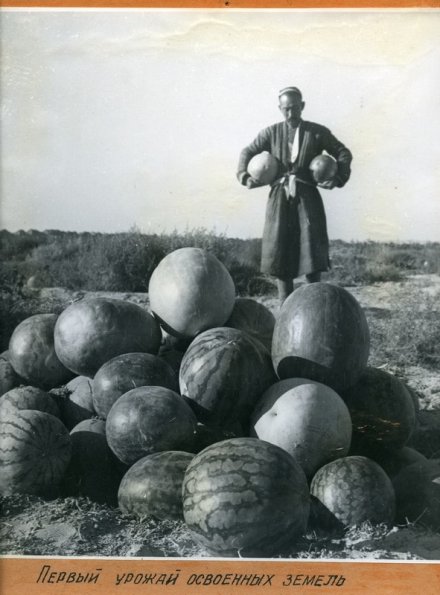 1935 Предпл Ферганская Долина Предпл Первый Урожай Арбузов