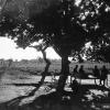 1935 Узбекистан Дайхане Отдыхают на Тапчане под Деревом