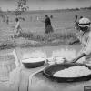 1935 Узбекистан Обед для Дехкан