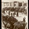 1936 Turtkul Sugar Canes Sales