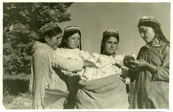 1942 Стахановки-трехсотницы на уборке хлопка