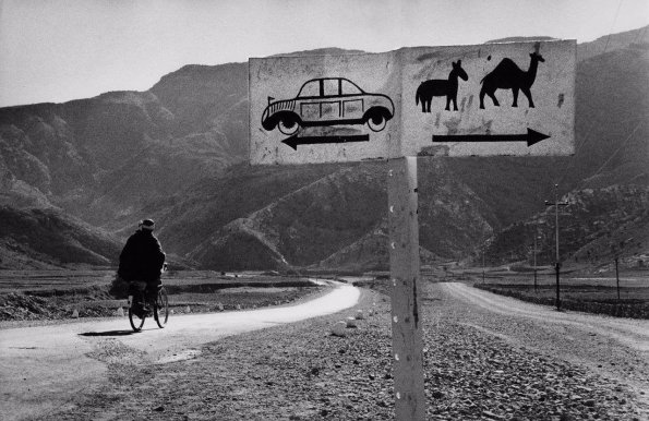 1950 Afghanistan