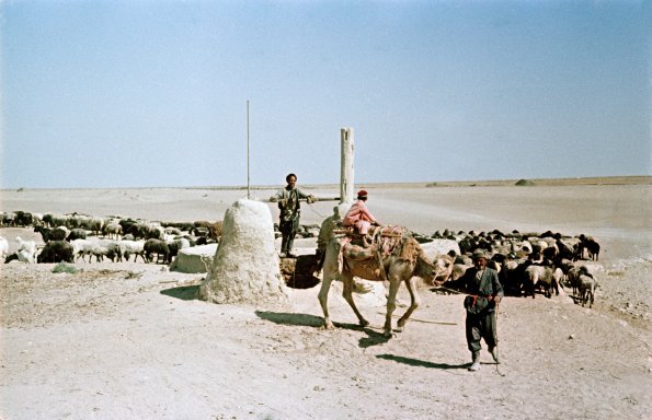 1958 Колодец в Бухарской Области 1 Фото С Фридлянда