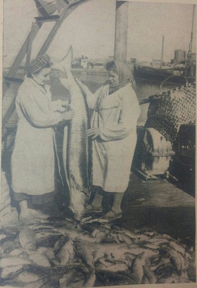 1965 Muynak Fishery