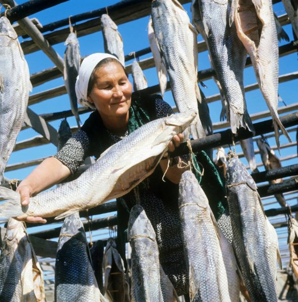 1968 Бугунь Рыбозавод Вяленая Усач-Рыба - Эндемик Арльского Моря
