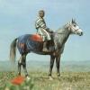 1968 Karabair Horse
