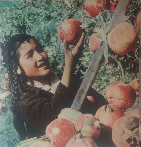 1970 Uzbekistan