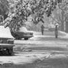 1987 Tashkent Winter